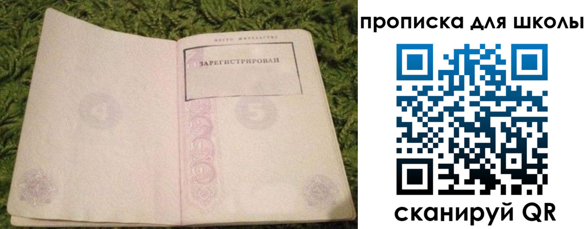регистрация для школы в Ногинске
